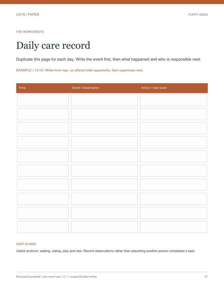 Actual blank Daily care record worksheet